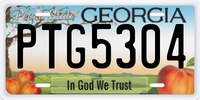 GA license plate PTG5304