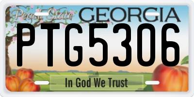 GA license plate PTG5306
