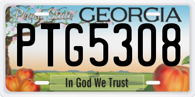 GA license plate PTG5308