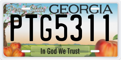 GA license plate PTG5311