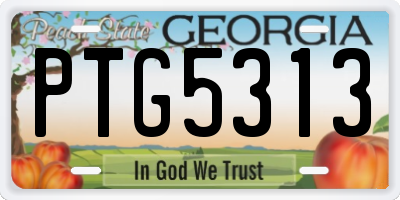GA license plate PTG5313