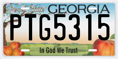 GA license plate PTG5315
