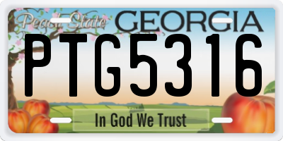 GA license plate PTG5316