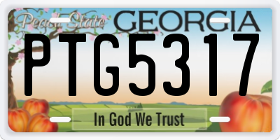 GA license plate PTG5317