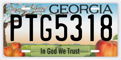 GA license plate PTG5318