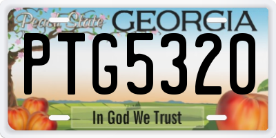 GA license plate PTG5320