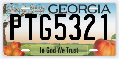 GA license plate PTG5321