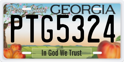 GA license plate PTG5324