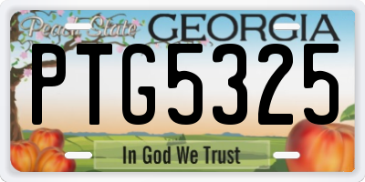 GA license plate PTG5325