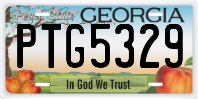 GA license plate PTG5329