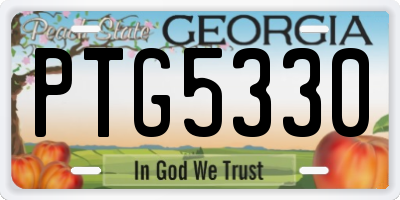 GA license plate PTG5330