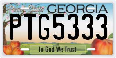 GA license plate PTG5333