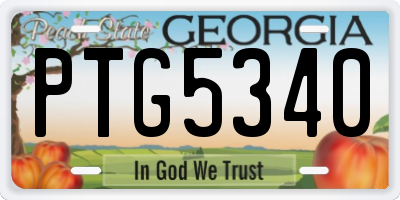 GA license plate PTG5340