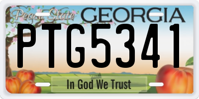 GA license plate PTG5341