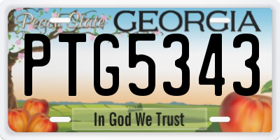 GA license plate PTG5343