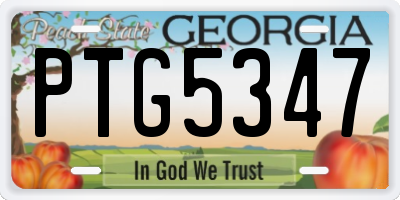 GA license plate PTG5347