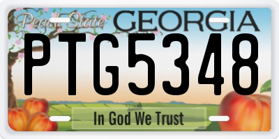 GA license plate PTG5348