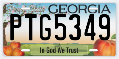 GA license plate PTG5349