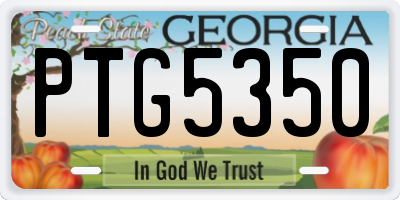 GA license plate PTG5350