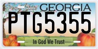 GA license plate PTG5355