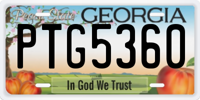 GA license plate PTG5360