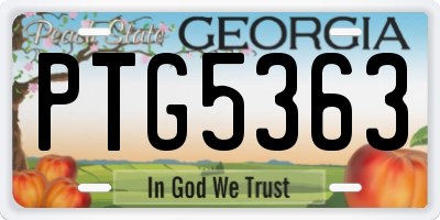 GA license plate PTG5363