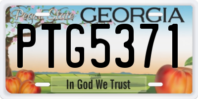 GA license plate PTG5371