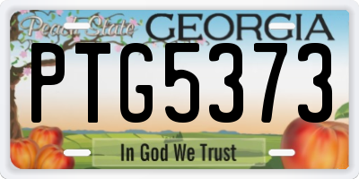 GA license plate PTG5373