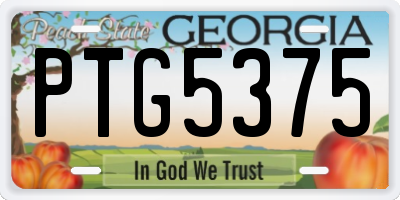 GA license plate PTG5375