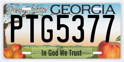 GA license plate PTG5377