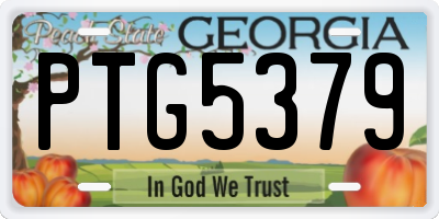 GA license plate PTG5379