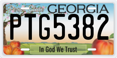 GA license plate PTG5382