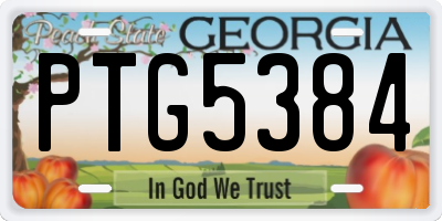 GA license plate PTG5384