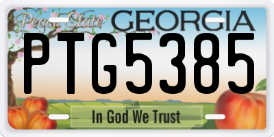 GA license plate PTG5385