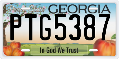 GA license plate PTG5387