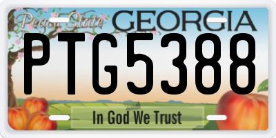 GA license plate PTG5388