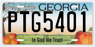 GA license plate PTG5401