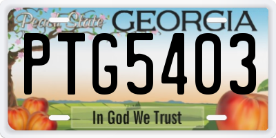 GA license plate PTG5403