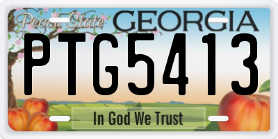 GA license plate PTG5413