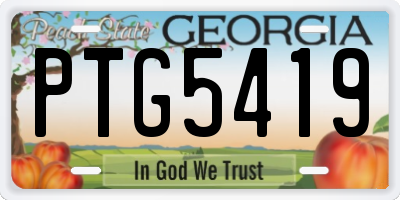 GA license plate PTG5419