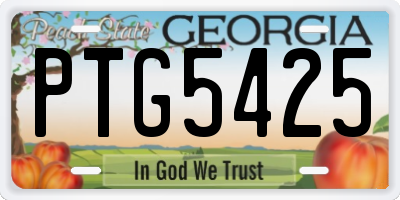 GA license plate PTG5425