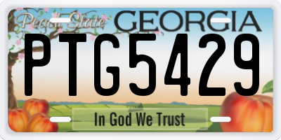 GA license plate PTG5429