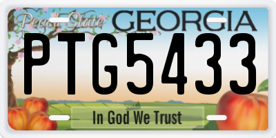 GA license plate PTG5433