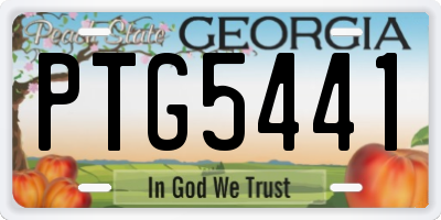 GA license plate PTG5441