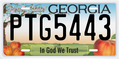 GA license plate PTG5443