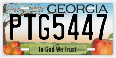 GA license plate PTG5447