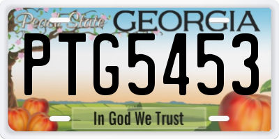 GA license plate PTG5453