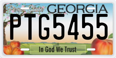 GA license plate PTG5455