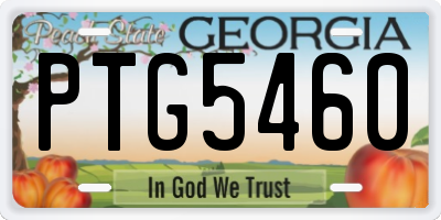 GA license plate PTG5460