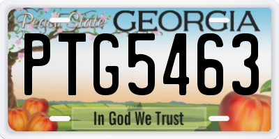 GA license plate PTG5463